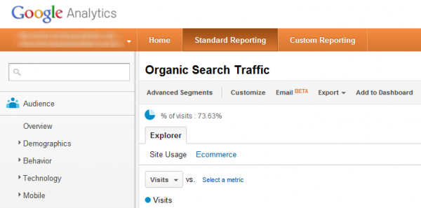 Post image for Search Engine Optimization (SEO)